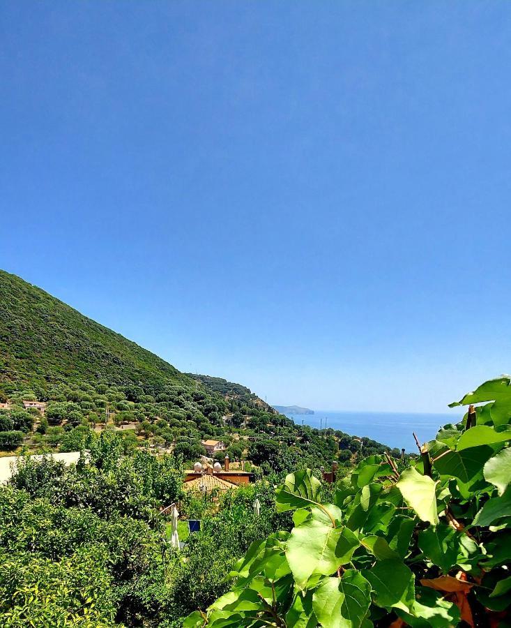 La Casa Sul Blu Albergo Diffuso ピショッタ エクステリア 写真