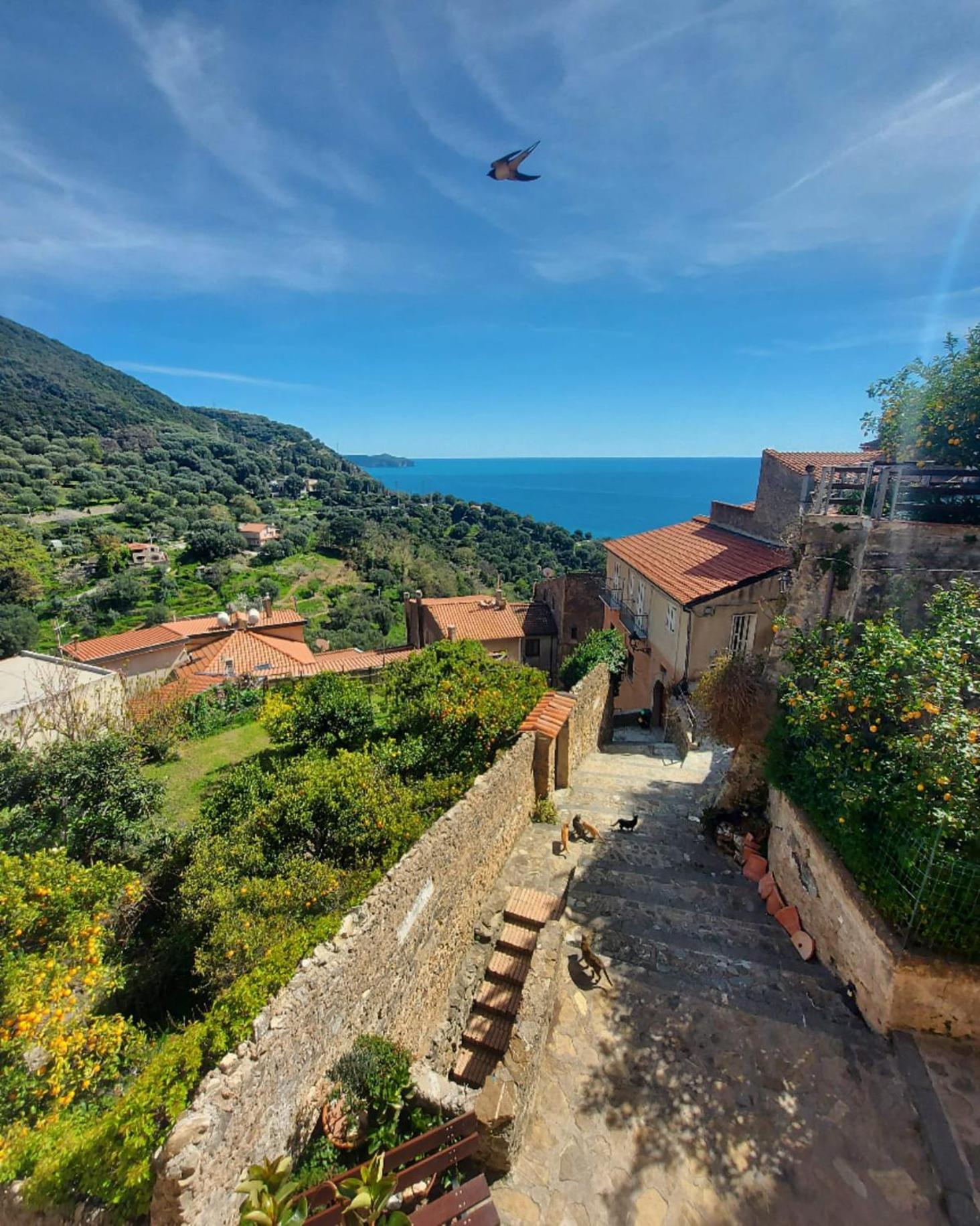 La Casa Sul Blu Albergo Diffuso ピショッタ エクステリア 写真