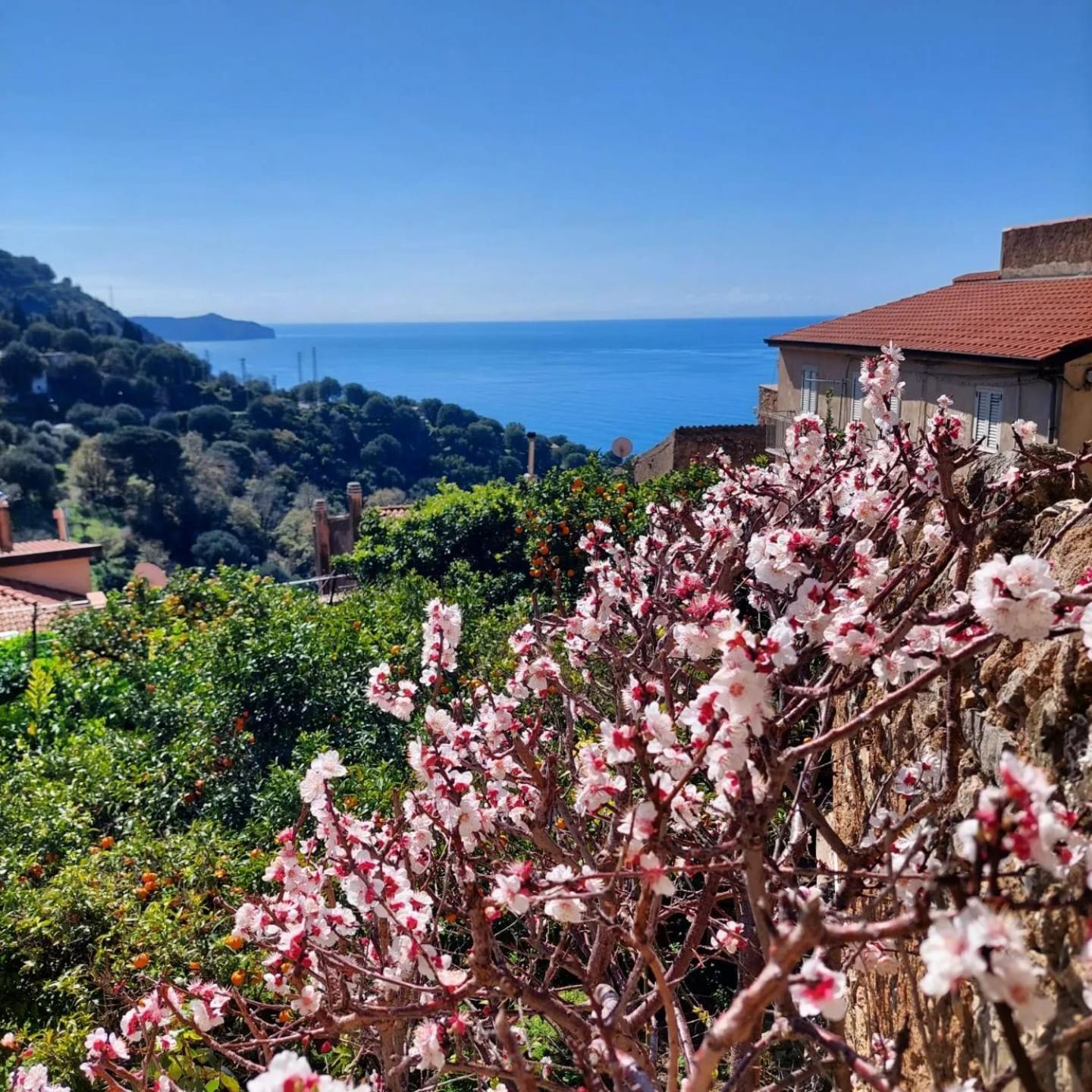 La Casa Sul Blu Albergo Diffuso ピショッタ エクステリア 写真