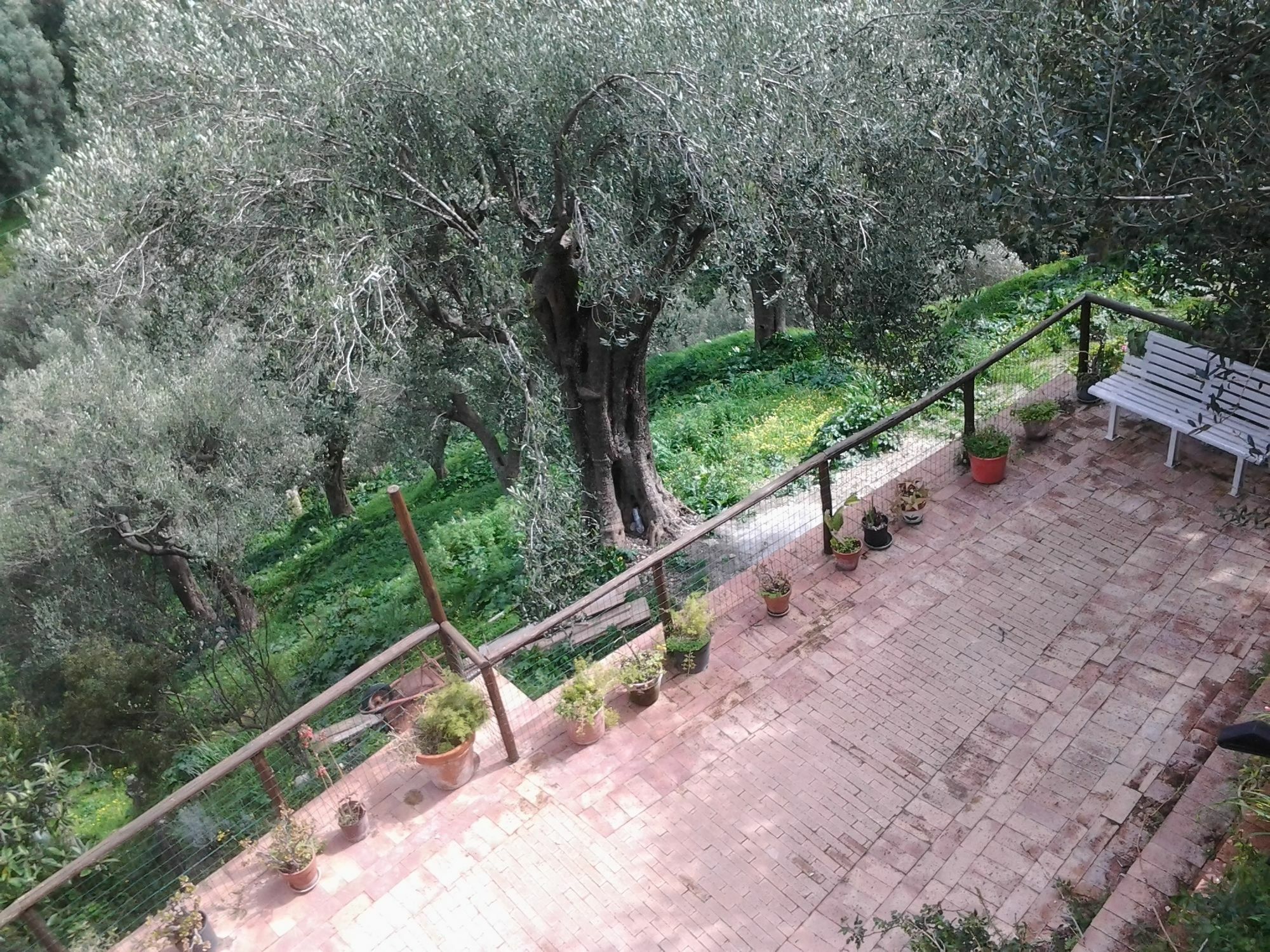 La Casa Sul Blu Albergo Diffuso ピショッタ エクステリア 写真